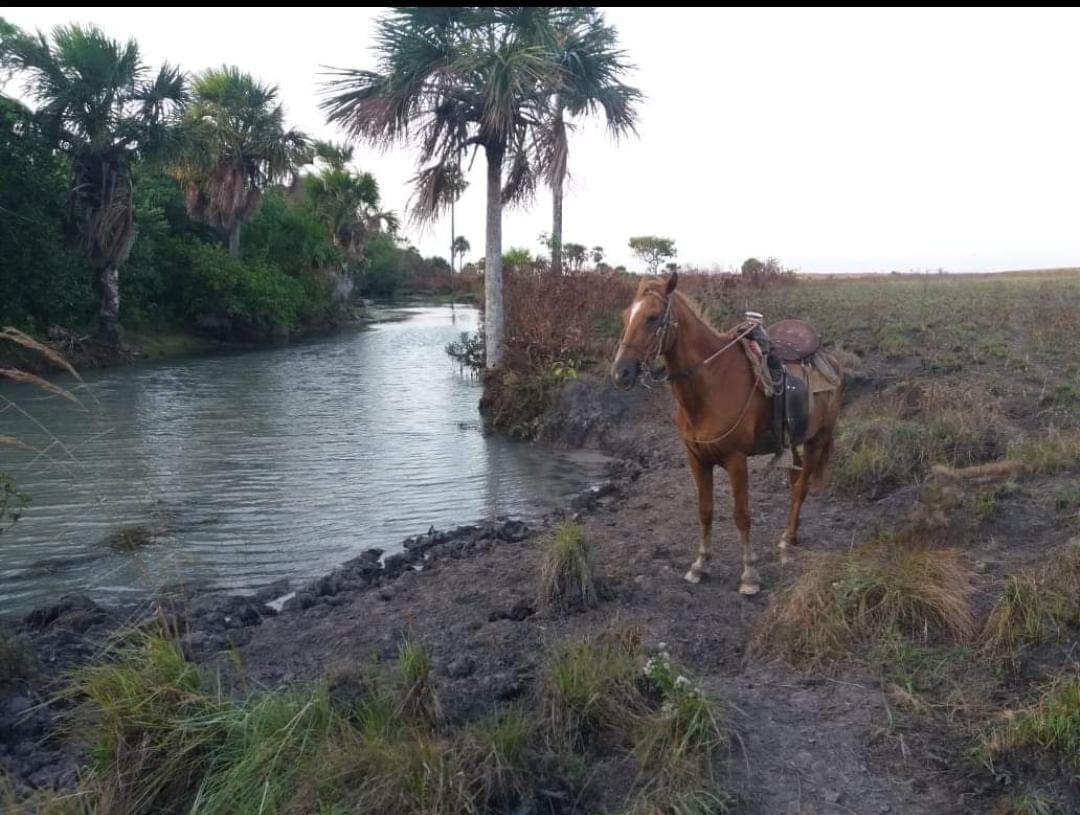 Vientos de Verano