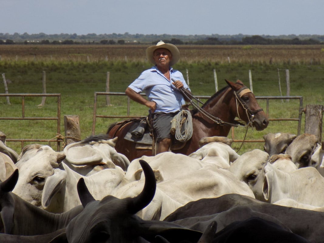 Cantos-de-trabajo-de-llano